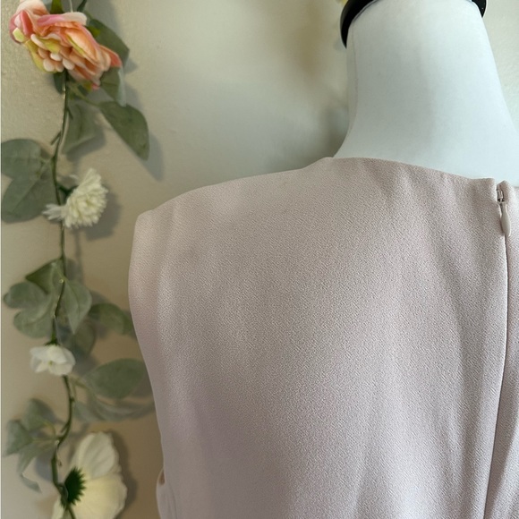 NWT GIAMBATTISTA VALLI SLEEVELESS PINK SHIFT DRESS - Picture 12 of 17